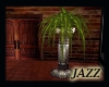 Jazzie-Tall Fern Beauty