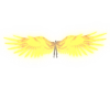 Luminous Golden Wings