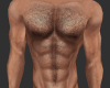 Male Skin M30