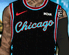 regata chicago™