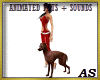 `Greyhound  /Pets