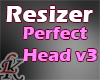 LK Perfect Head Resizer3