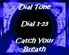 Dial Tone