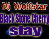 Black Stone Cherry -stay