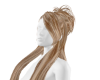 Ombre Bun