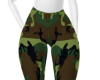 Camo Leggings