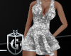 Silver Beauty Dress