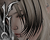 ♱ schism
