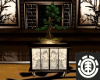 (dab) Japan Bonsai