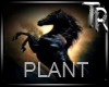 TR*PLANT 1