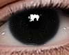 Eyes