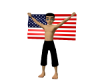 USA FLAG