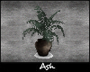 Ash. Plants