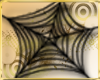 DnZ shadow spider web