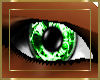 Toxic Green Eyes (M)