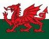 ~AE~ Welsh Flag