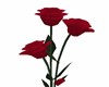 ANIMATED RED ROSES