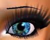 Blue Brown Female Eyes