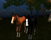 farm pony animated(2)