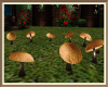 Drift Fairy Mushrooms