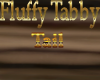 fluffy tabby tail
