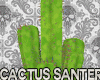 Jm Cactus Santeria Drv
