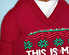 Ugly Xmas Sweater Bundle