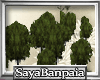 [SB] Dark Green Trees