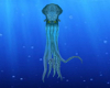 Squid 1 Animated