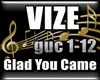 VIZE - Glad You Came