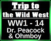 Trip to the Wild West