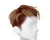 Kai Ginger