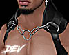 !D Harness Layer