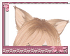 Rose Blonde Ears