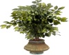 Bronze Potted Plant