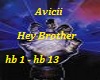 Avicii Hey Brother