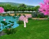 Cherry Blossom Garden