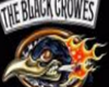 black crowes t shirt