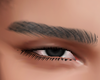 ! Grey Brows Male
