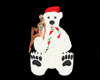 Christmas Bear /Poses
