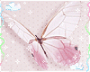 White Butterfly
