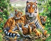Tiger Familyest