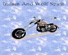 Indain &wolf Spirit