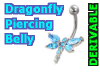 Dragonfly Belly Piercing