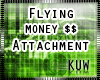 -KW-Flying Money$ Attach