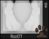 !R; Canine Paws