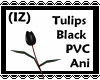 (IZ) Tulips BlackPVC Ani