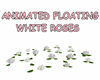 GM's Floating white rose