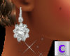 Flower Diamond Ear Rings