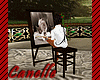 Paint Canelle